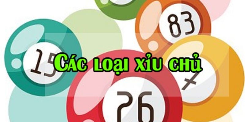 Các loại xỉu chủ