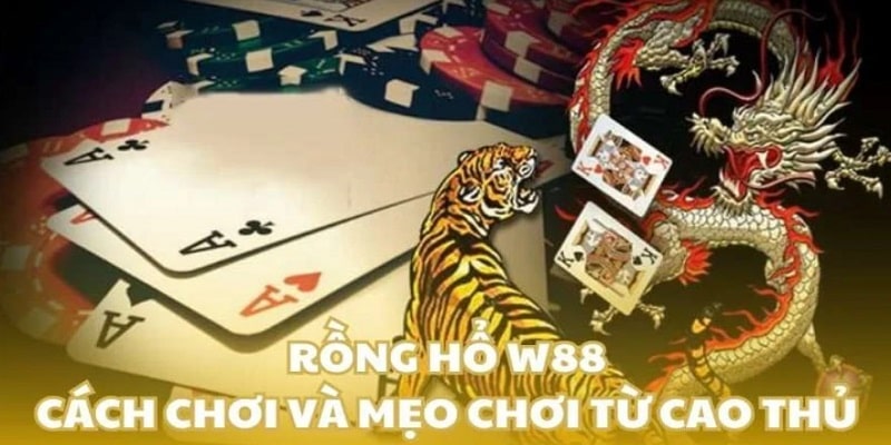 Lưu ý gì khi chơi game Rồng Hổ của W88 