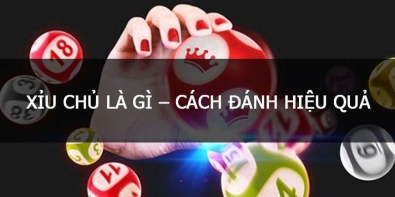 So sánh xỉu chủ miền Bắc và miền Nam