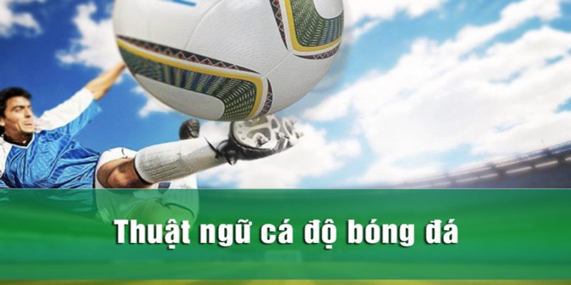 Thuật ngữ cá độ bóng đá