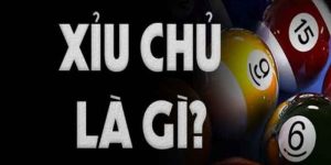 Xỉu Chủ Là Gì